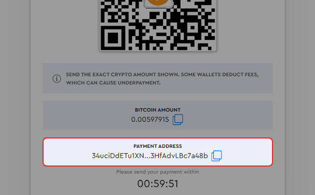 Процесс оплаты Bitcoin в интернет-магазине Отправка биткоина для оплаты онлайн-заказа