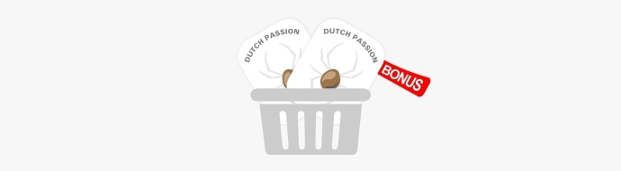 Бонусные семена от Dutch Passion Бонусные семена от Dutch Passion