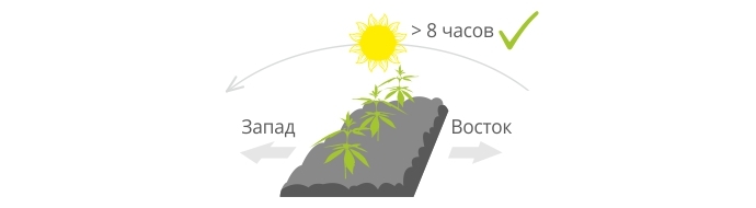 Расположение посадки автоцветов в аутдоре