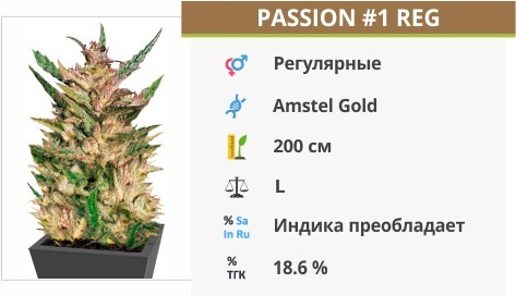 Passion 1