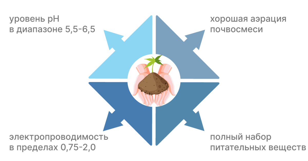 Влияние качества почвы на урожай Требования к грунту для конопли: четыре основных