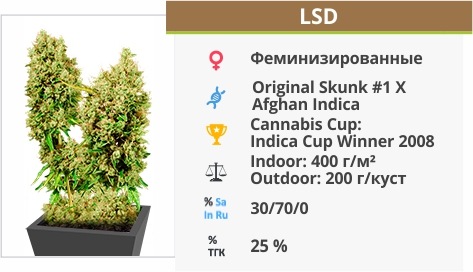 LSD