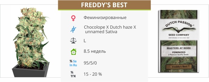 Freddy 