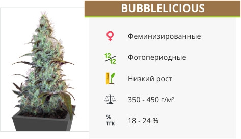 Bubblelicious