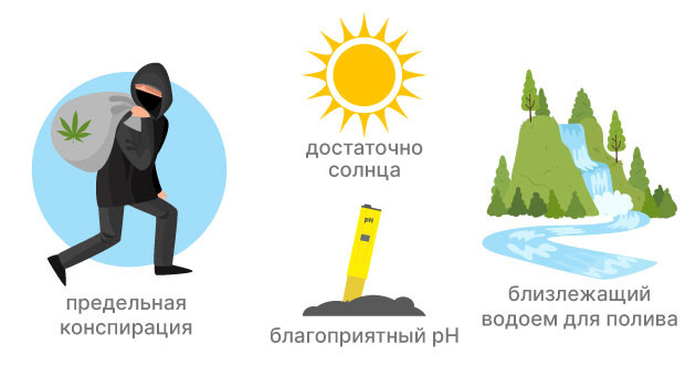 Подготовка к выращиванию в аутдоре Требования для выращивания в аутдоре
