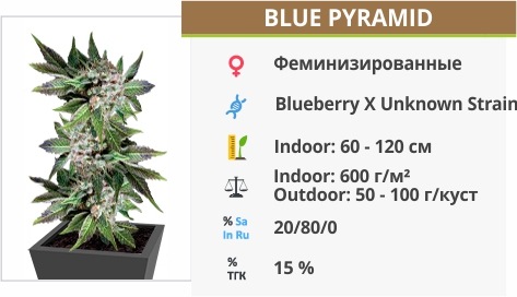 Blue Pyramid Blue Pyramid