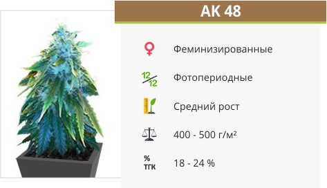 АК-48