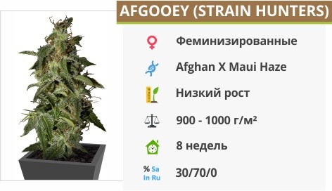 Afgooey