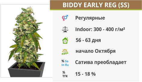 Biddy Early