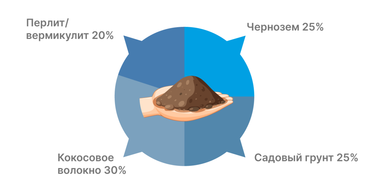 Оптимальный рецепт почвосмеси для конопли Состав почвосмеси: чернозем, садовый грунт, кокосовое волокно, перлит