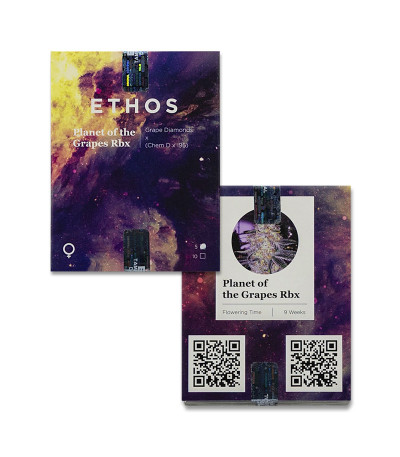 Planet of the Grapes RBX fem (Ethos Genetics) семена конопли