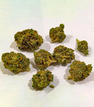RudeBoi OG F1 fem (Seedkeepers) семена конопли