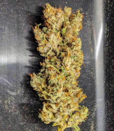 Ghost Chem OG Autoflower fem (Seedkeepers) семена конопли