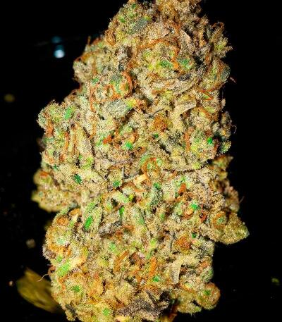 Sugar Rock by Cookies fem семена конопли