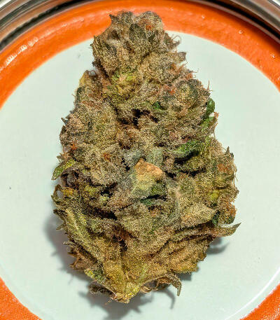 Garlic Cookies fem семена конопли