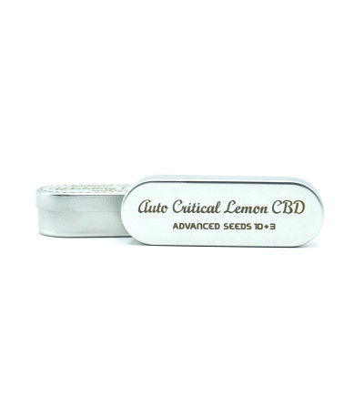 Auto Critical Lemon CBD (Advanced Seeds) семена конопли