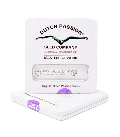 Auto Daiquiri Lime fem (Dutch Passion) семена конопли