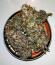 Booberry Cookies RBX fem (Ethos Genetics) семена конопли