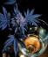 Royal Cookies fem (Royal Queen Seeds) семена конопли