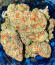 Purple Punch F1 fem (Seedkeepers) семена конопли