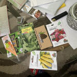 cream-caramel-auto-fem-sweet-seeds.jpeg