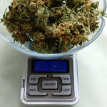 original-auto-og-kush-fem-fastbuds.jpg