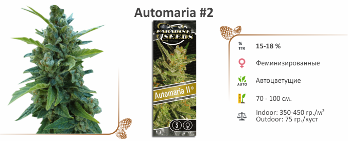 Automaria #2 Automaria #2