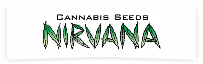 Nirvana Nirvana
