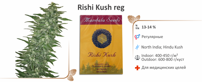 Rishi Kush Rishi Kush