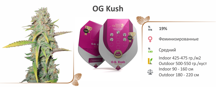 Каннабис OG kush Штамм OG Kush
